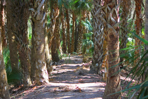 CP5 - Take a picture of each team mate running towards you along this stretch of trail. This is a very distinct location when you find it.