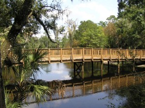 new_bridge