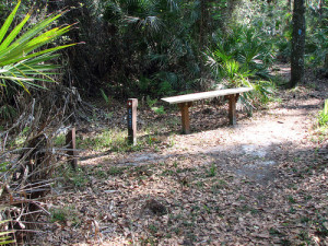 Here is the bench along the Persimmon Trail in Deleon Springs, yes you need to find the trailhead too.
